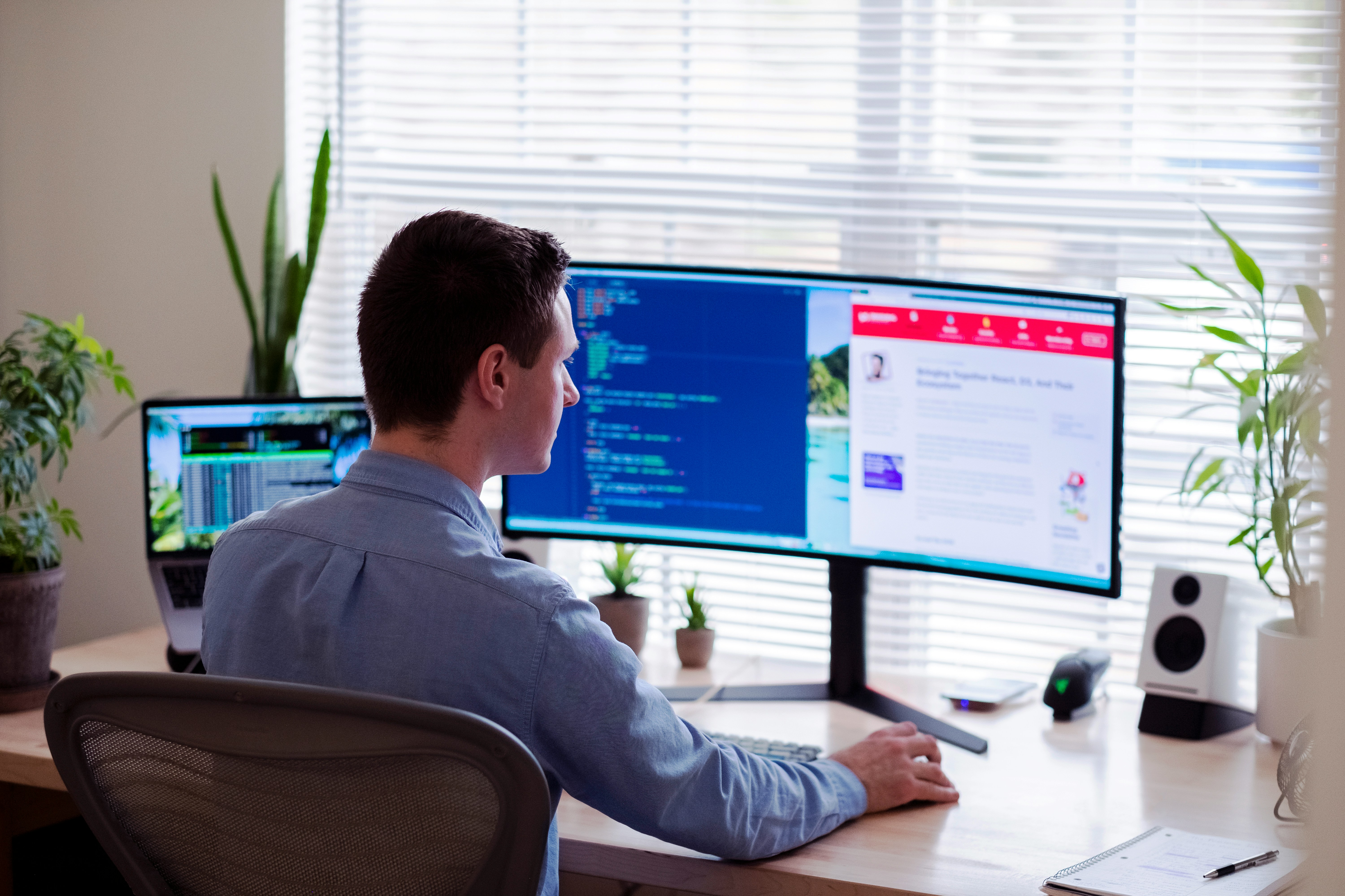 Web Development Interface